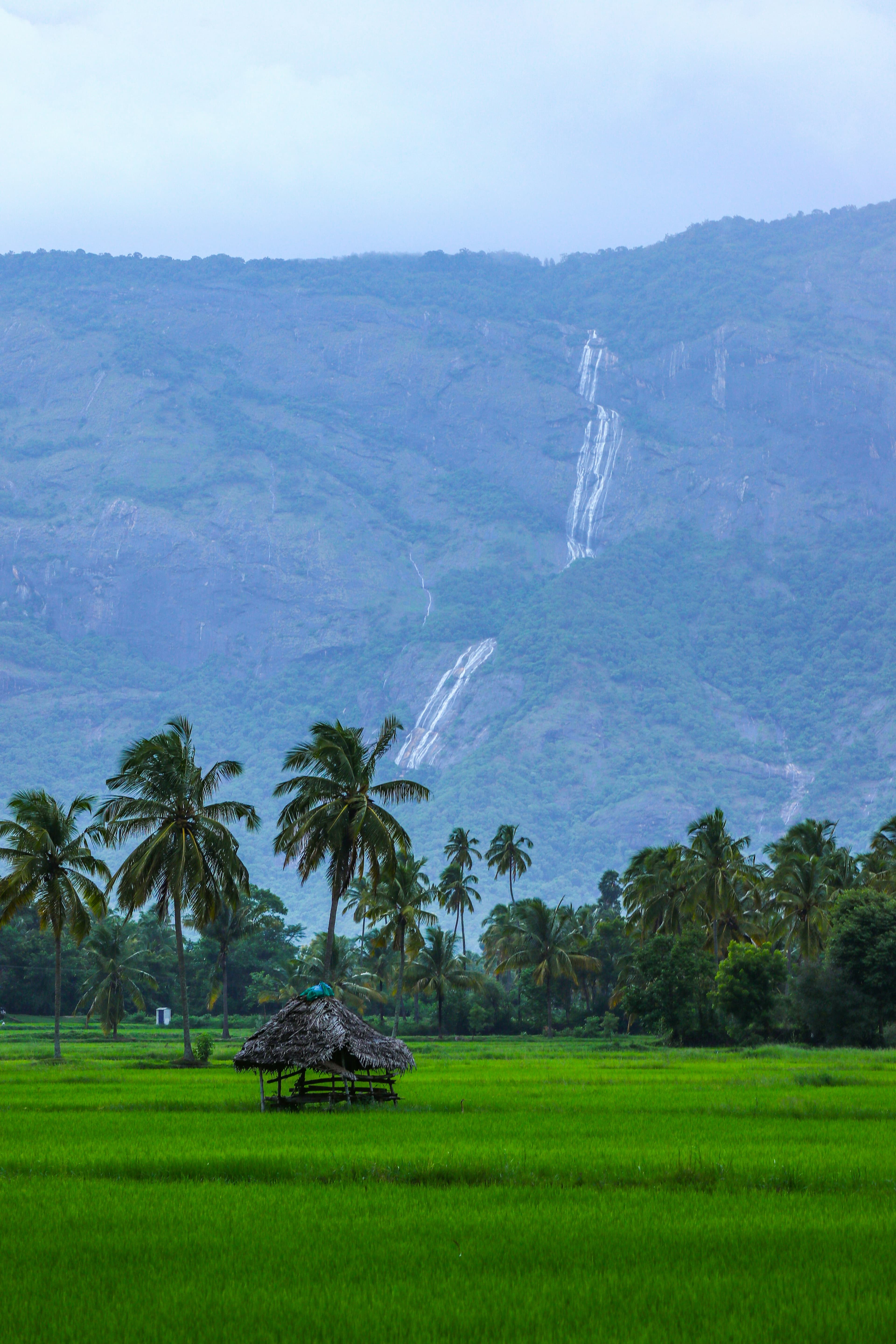 Kerala backwaters